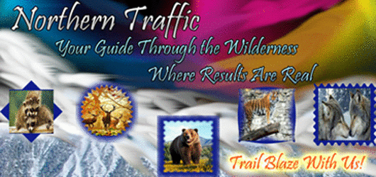 Northern Traffic Come Trailblaze With Us